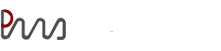 PMS Logo
